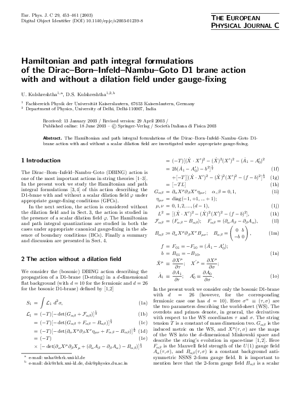 (PDF) Hamiltonian and path integral formulations of the Dirac-Born ...