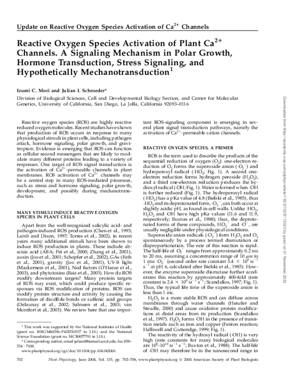 (PDF) Update on Reactive Oxygen Species Activation of Ca 2 1 Channels ...