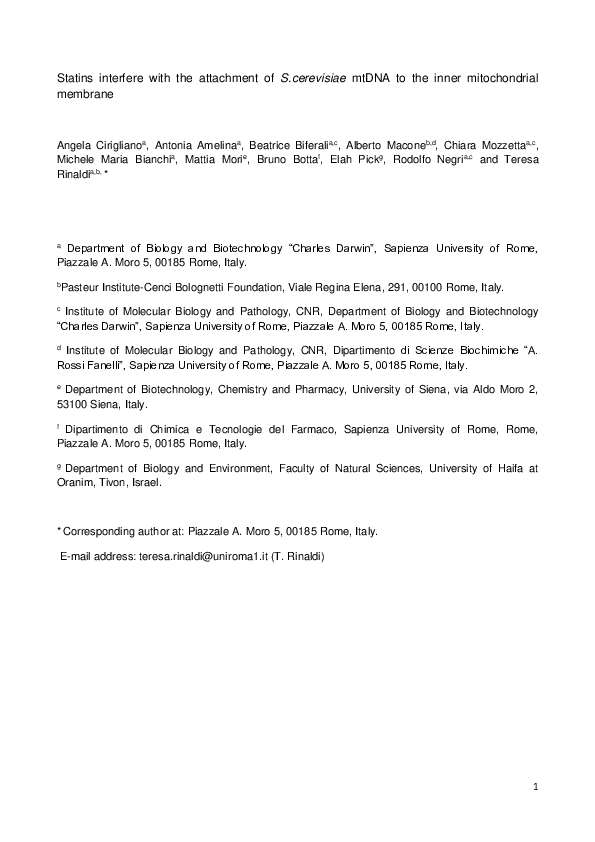  PDF Statins Interfere With The Attachment Of S Cerevisiae MtDNA To