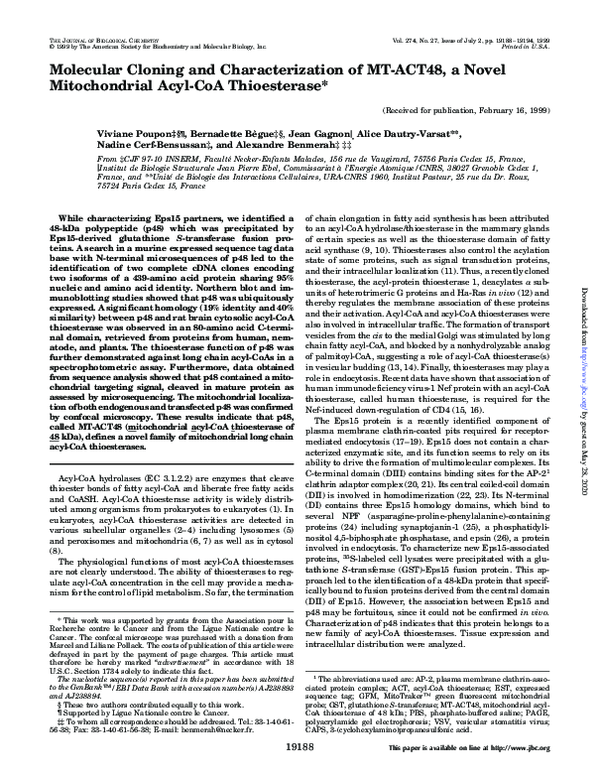 (PDF) Molecular Cloning and Characterization of MT-ACT48, a Novel ...