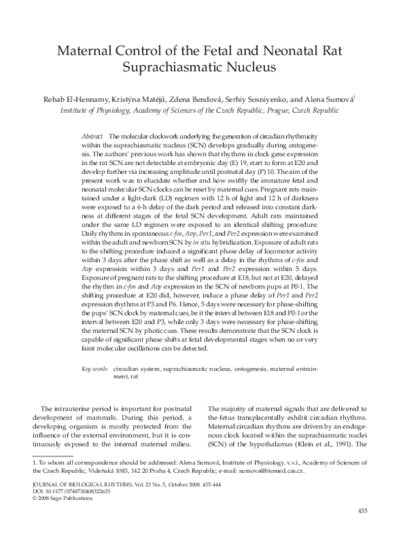 (PDF) Maternal Control of the Fetal and Neonatal Rat Suprachiasmatic ...