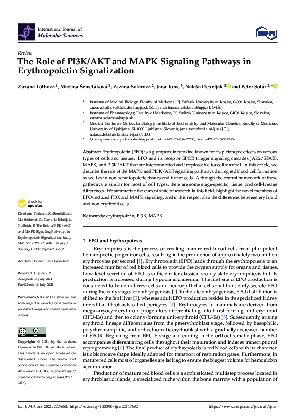 (PDF) The Role of PI3K/AKT and MAPK Signaling Pathways in ...