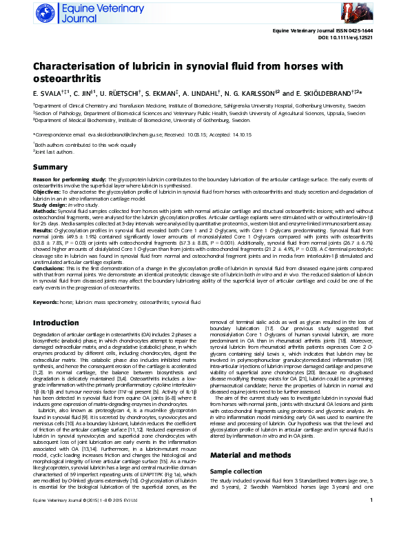 (PDF) Characterisation of lubricin in synovial fluid from horses with ...