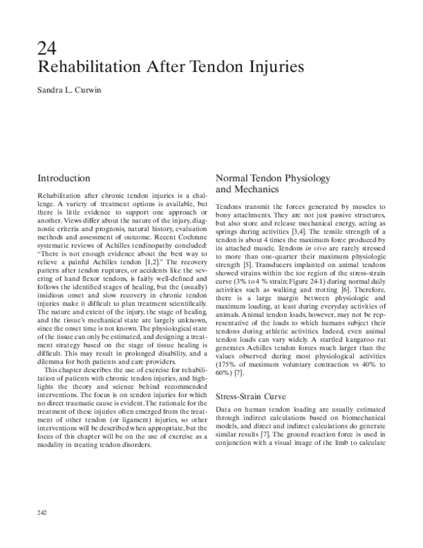 (PDF) Rehabilitation After Tendon Injuries