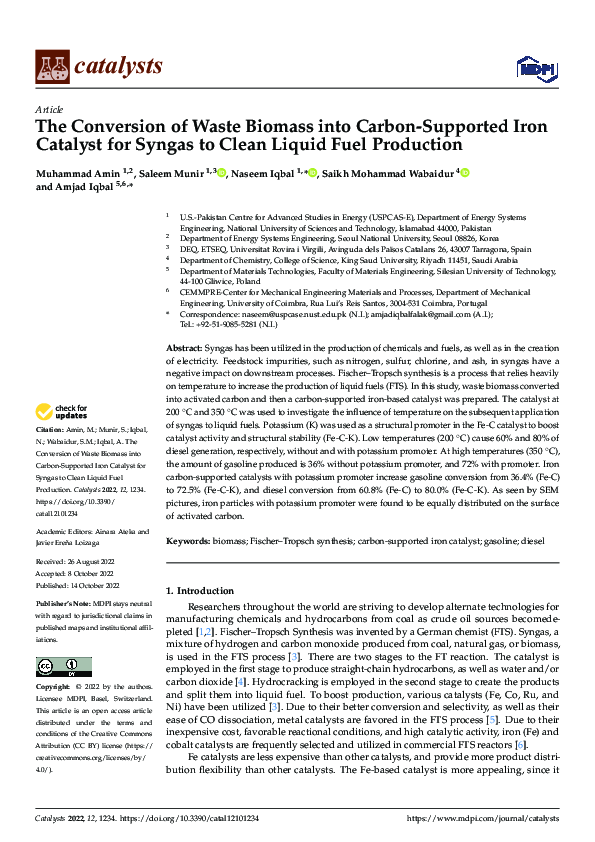 (PDF) The Conversion of Waste Biomass into Carbon-Supported Iron ...