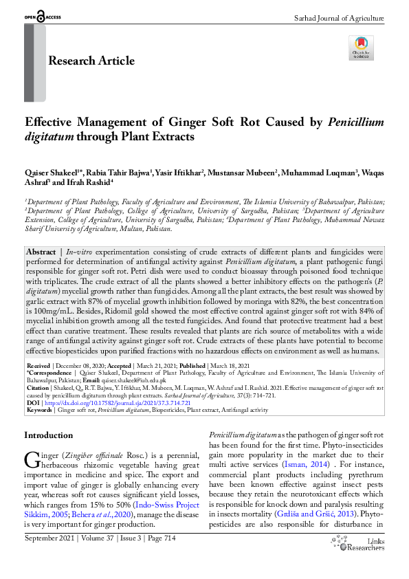 (PDF) Effective Management of Ginger Soft Rot Caused by Penicillium ...