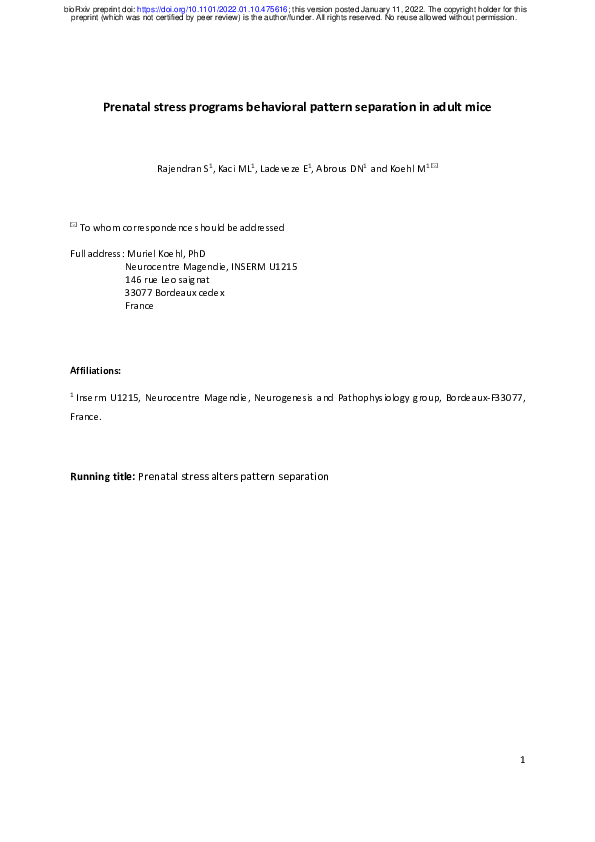 (PDF) Prenatal stress programs behavioral pattern separation in adult mice