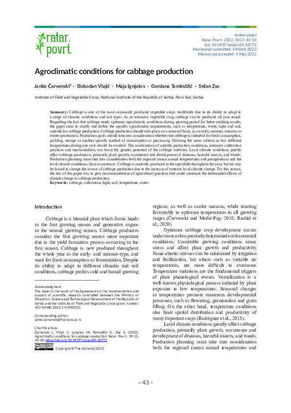 (PDF) Agroclimatic conditions for cabbage production
