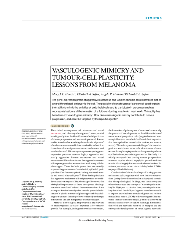 (PDF) Vasculogenic mimicry and tumour-cell plasticity: lessons from ...