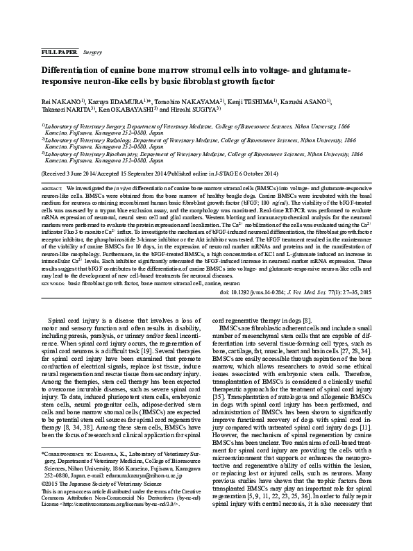 (PDF) Differentiation of canine bone marrow stromal cells into voltage ...