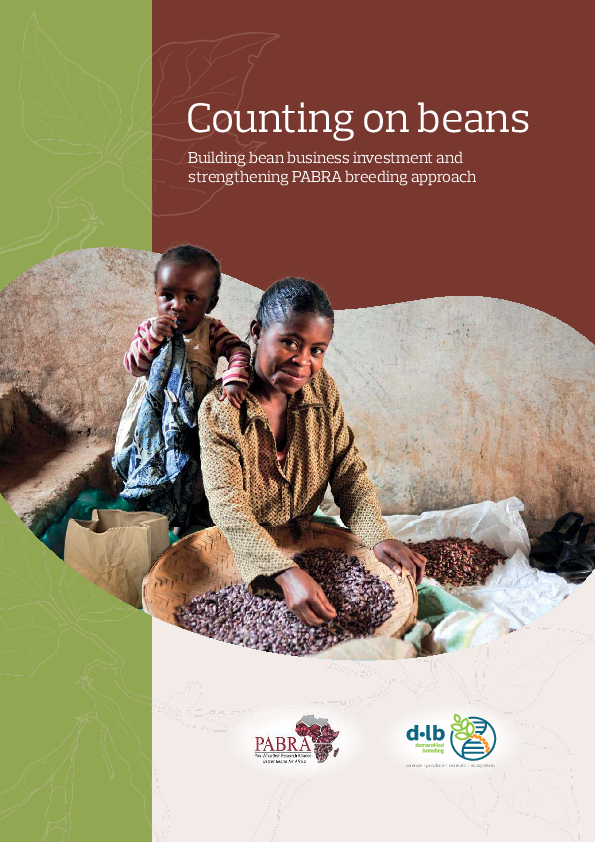 (PDF) Counting on beans Building bean business investment and ...
