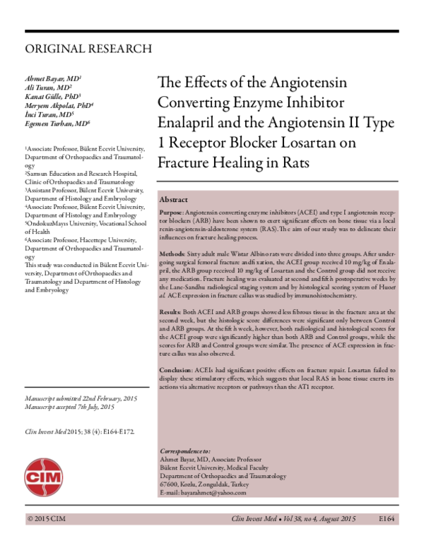 (PDF) and Embryology The Effects of the Angiotensin Converting Enzyme ...