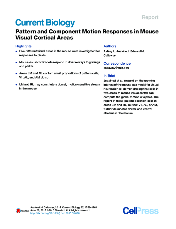 (PDF) Pattern and Component Motion Responses in Mouse Visual Cortical Areas