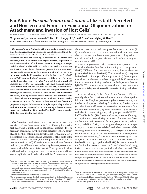 (PDF) FadA from Fusobacterium nucleatum Utilizes both Secreted and ...