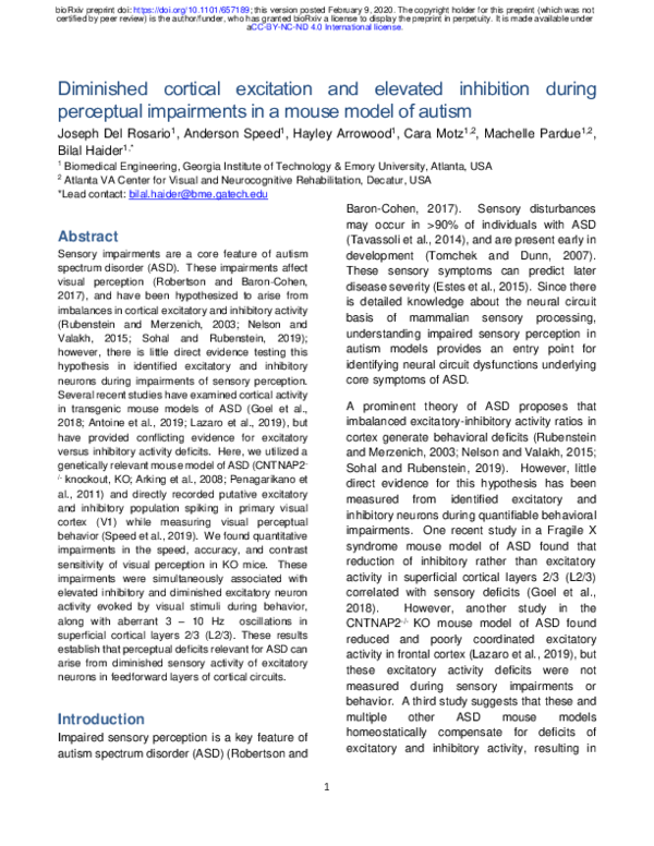 (PDF) Diminished cortical excitation and elevated inhibition during ...