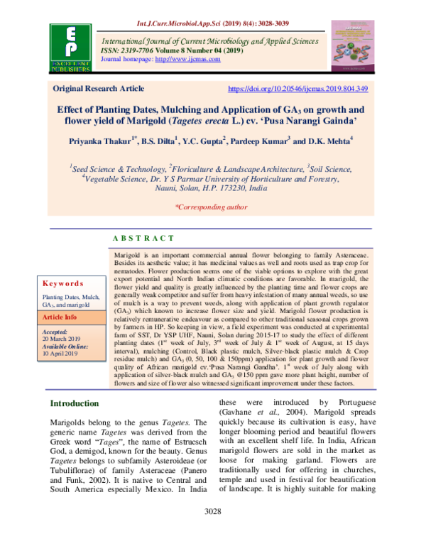 (PDF) Effect of Planting Dates, Mulching and Application of GA3 on ...