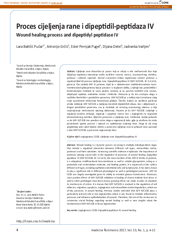 (PDF) Wound healing process and dipeptidyl peptidase IV