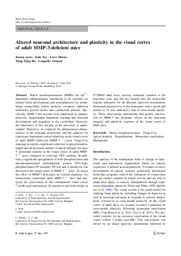(PDF) Altered neuronal architecture and plasticity in the visual cortex ...