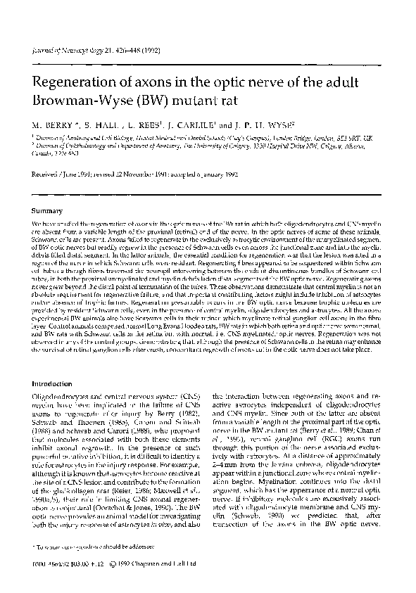 (PDF) Regeneration of axons in the optic nerve of the adult Browman ...