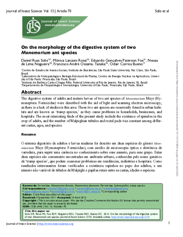 (PDF) On the Morphology of the Digestive System of TwoMonomoriumAnt