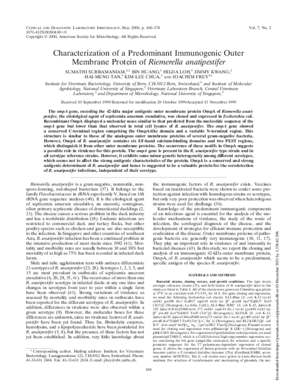 (PDF) Characterization of a Predominant Immunogenic Outer Membrane ...