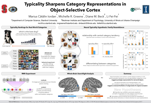 (PDF) Typicality sharpens category representations in object-selective ...