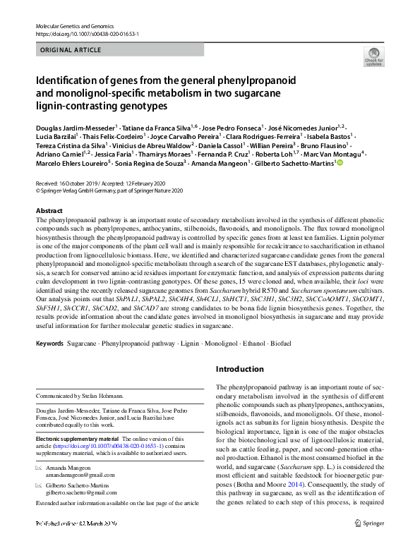 (PDF) Identification of genes from the general phenylpropanoid and ...