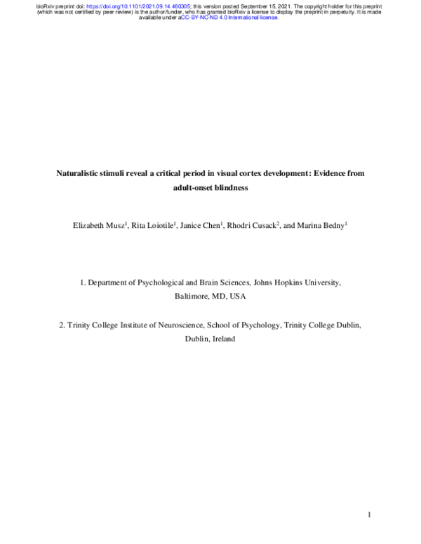  PDF Naturalistic Stimuli Reveal A Critical Period In Visual Cortex 