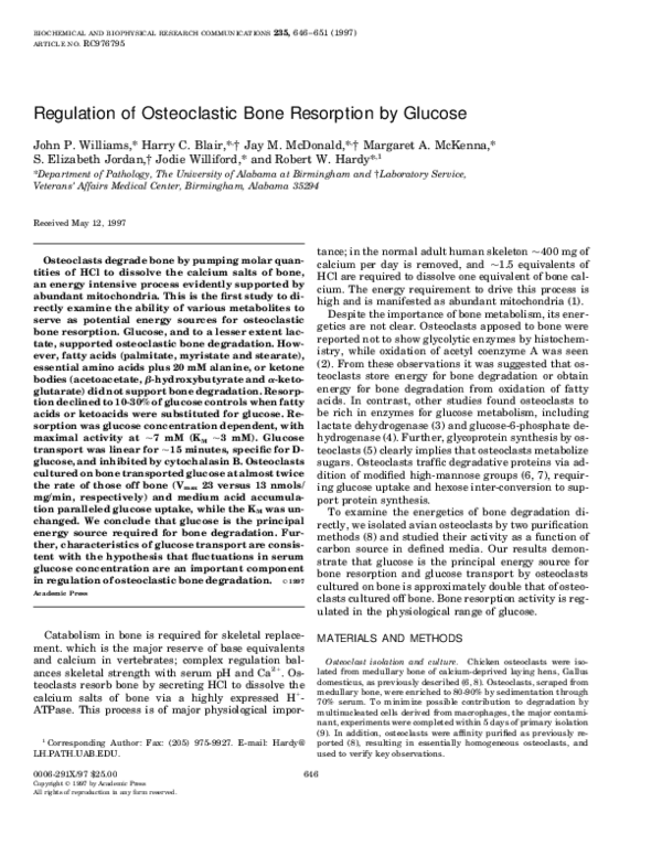 (PDF) Regulation of Osteoclastic Bone Resorption by Glucose | Margaret ...
