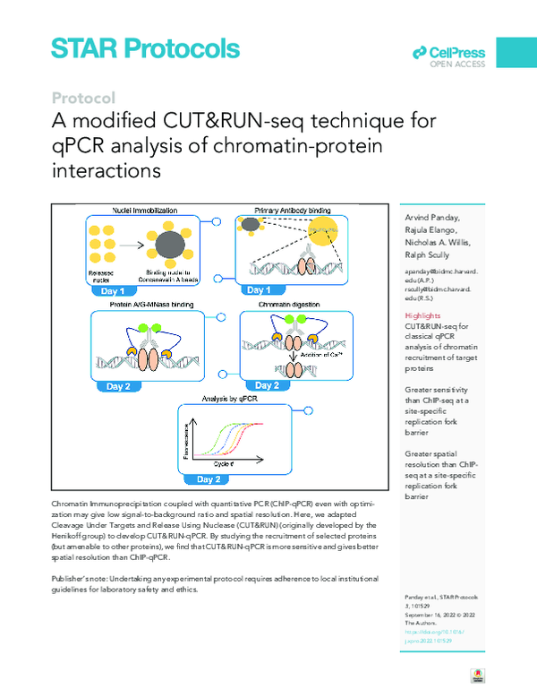 (PDF) A modified CUT&RUNseq technique for qPCR analysis of chromatin