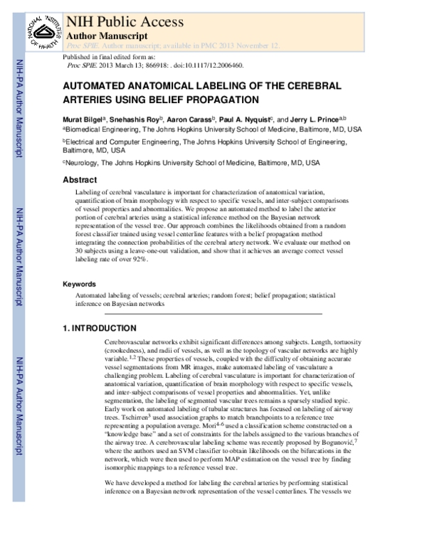 (PDF) Automated anatomical labeling of the cerebral arteries using ...