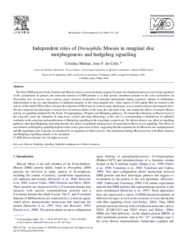 (PDF) Independent roles of Drosophila Moesin in imaginal disc ...