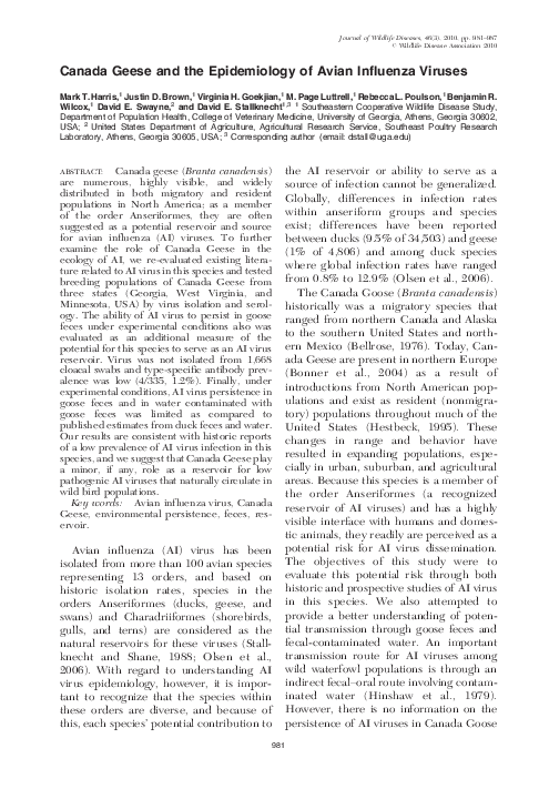 (PDF) Canada Geese and the Epidemiology of Avian Influenza Viruses