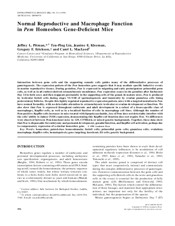 (PDF) Normal Reproductive and Macrophage Function inPemHomeobox Gene ...