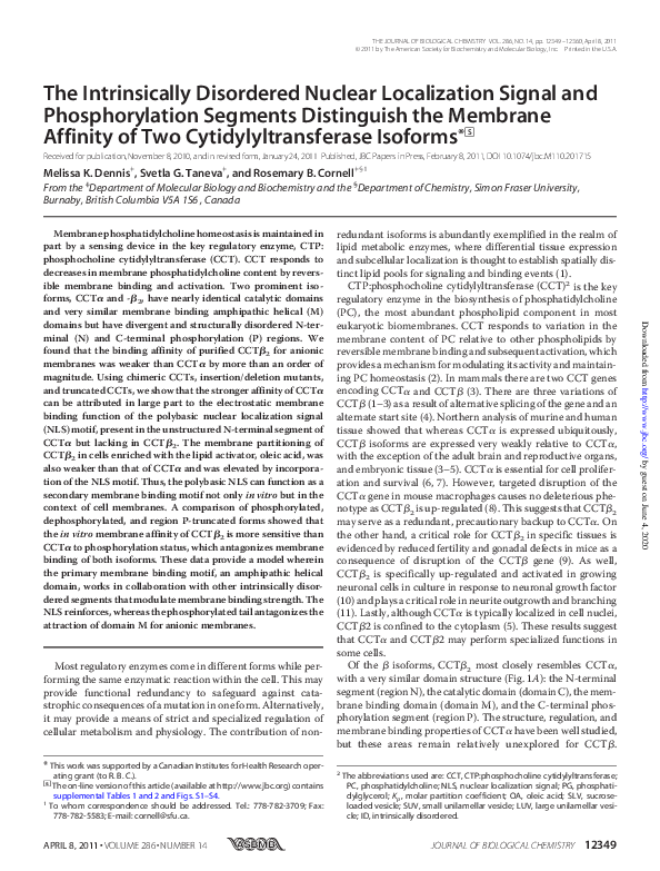 (PDF) The Intrinsically Disordered Nuclear Localization Signal and ...