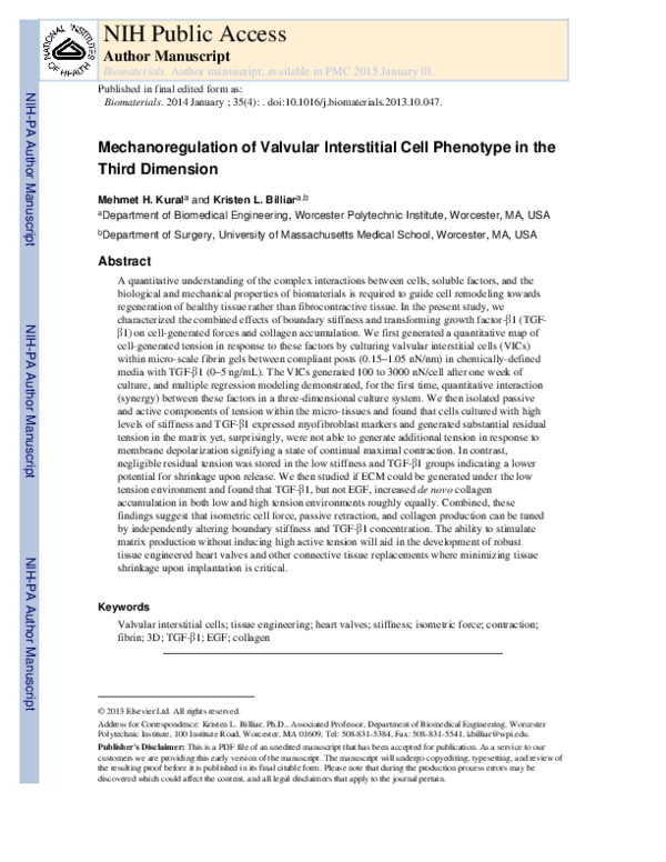 (PDF) Mechanoregulation of valvular interstitial cell phenotype in the ...