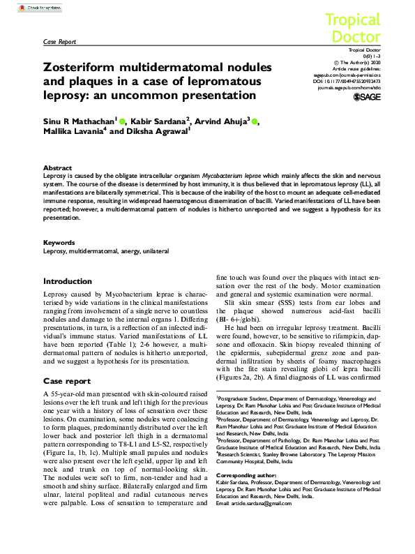 (PDF) Zosteriform multidermatomal nodules and plaques in a case of ...