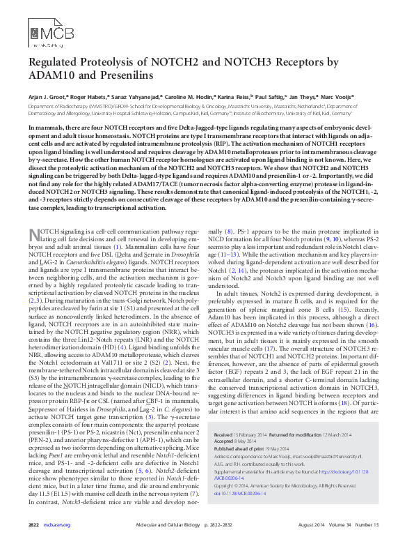 (PDF) Regulated proteolysis of NOTCH2 and NOTCH3 receptors by ADAM10 ...