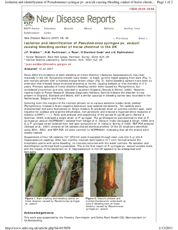 (PDF) Isolation and identification of Pseudomonas syringae pv. aesculi ...