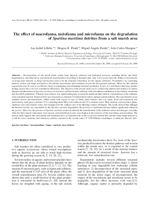 (PDF) The effect of macrofauna, meiofauna and microfauna on the ...
