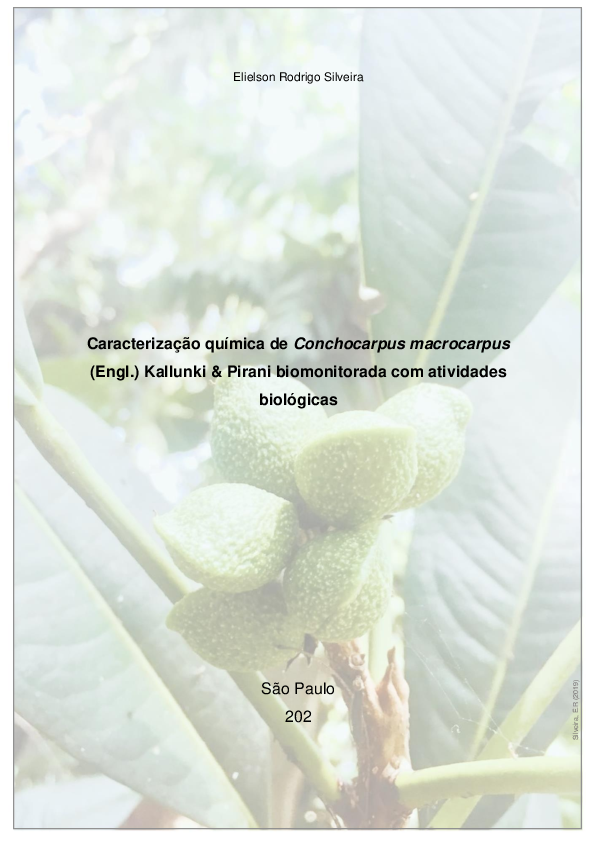 (PDF) Caracterização química de Conchocarpus macrocarpus (Engl ...