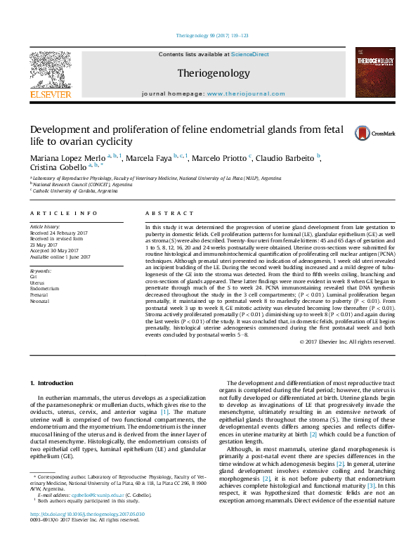 View of (PDF) Development and proliferation of feline endometrial glands from ...