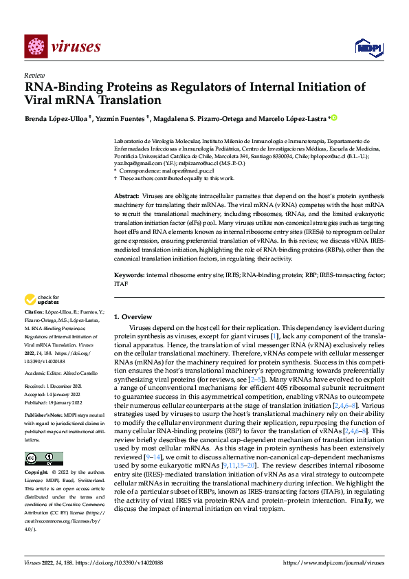 (PDF) RNA-Binding Proteins as Regulators of Internal Initiation of ...