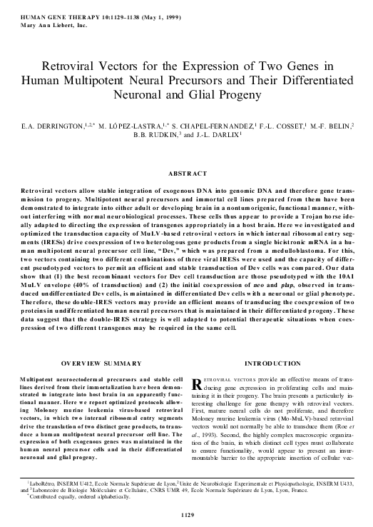 (PDF) Retroviral Vectors for the Expression of Two Genes in Human ...