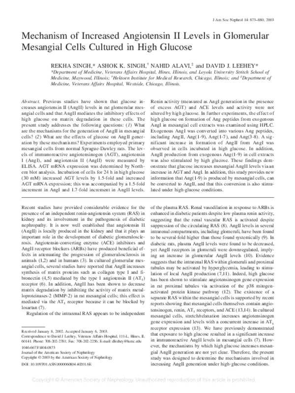 (PDF) Mechanism of Increased Angiotensin II Levels in Glomerular ...