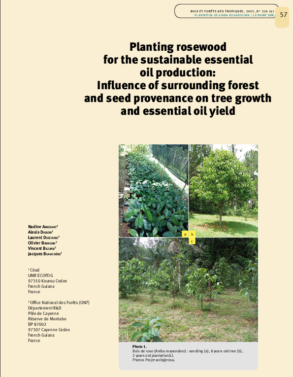 (PDF) Planting Rosewood for Sustainable Essential Oil Production ...