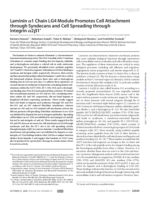 (PDF) Laminin α1 Chain LG4 Module Promotes Cell Attachment through ...