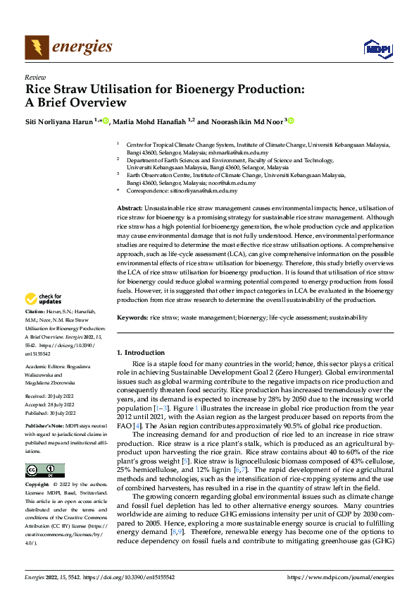 (PDF) Rice Straw Utilisation for Bioenergy Production: A Brief Overview