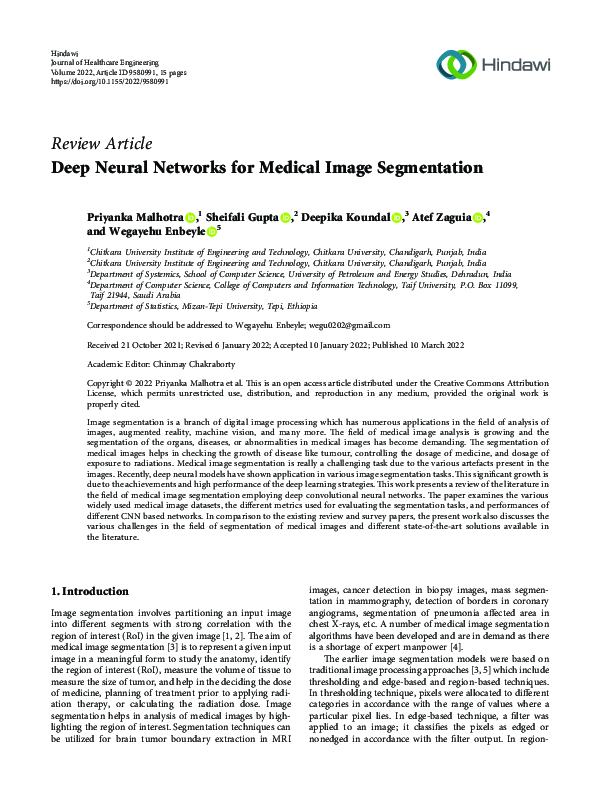 (PDF) Deep Neural Networks for Medical Image Segmentation