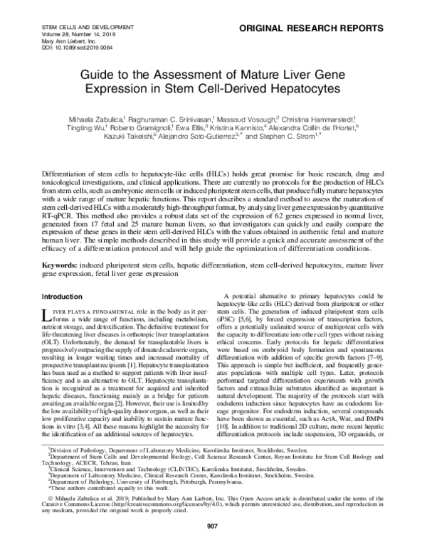 (PDF) Guide to the Assessment of Mature Liver Gene Expression in Stem ...